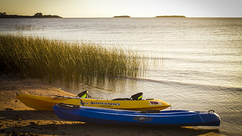 Playa - Kayaks
